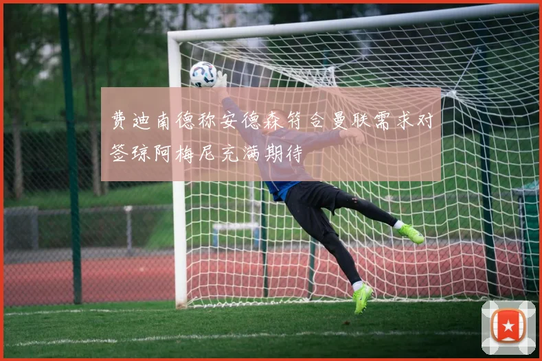 费迪南德称安德森符合曼联需求对签琼阿梅尼充满期待