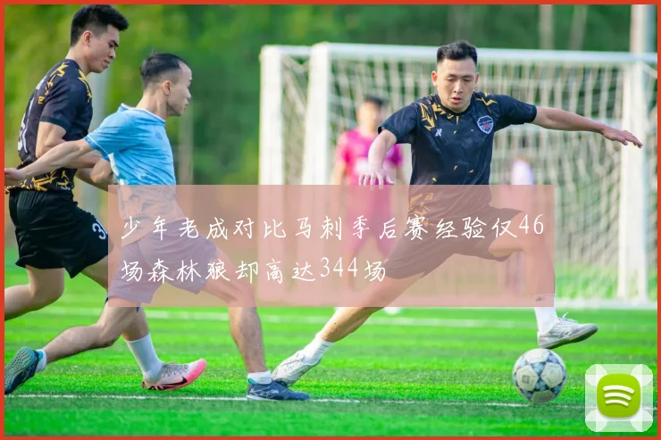 少年老成对比马刺季后赛经验仅46场森林狼却高达344场